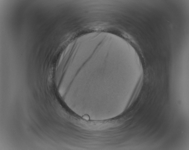 X0000080750018200701122015