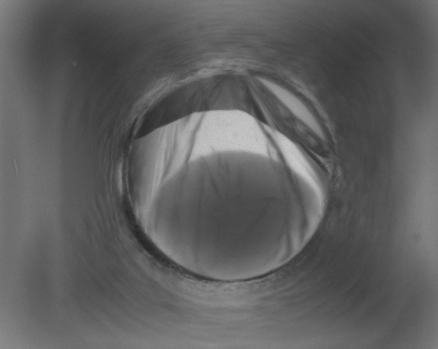 X0000080750019200701122015