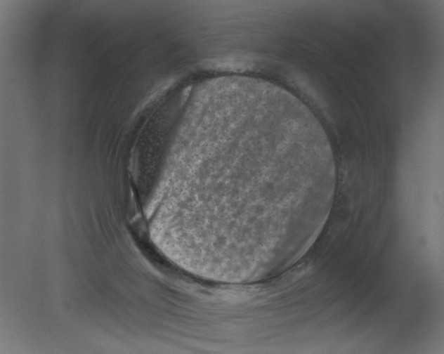 X0000080750020200701122015