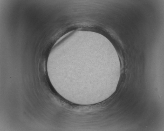 X0000080750021200701122015