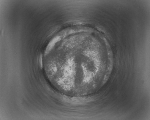 X0000080750022200701122015