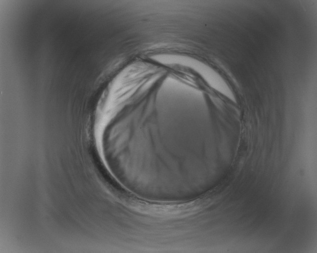 X0000080750023200701122015