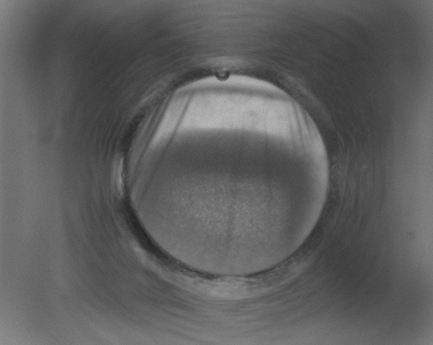 X0000080750024200701122015