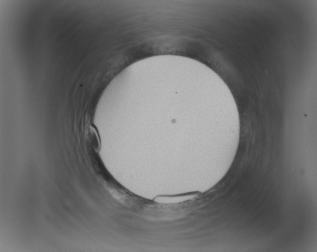 X0000080750025200701122015