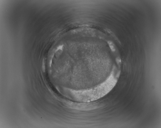 X0000080750026200701122015