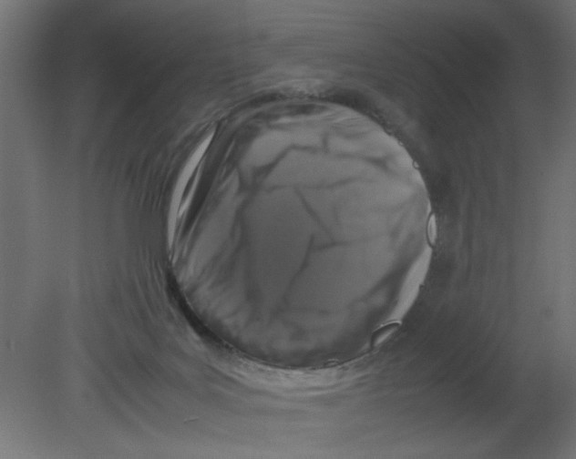 X0000080750027200701122015