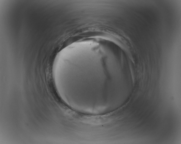 X0000080750029200701122015