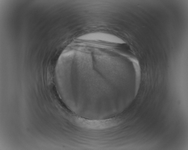 X0000080750030200701122015