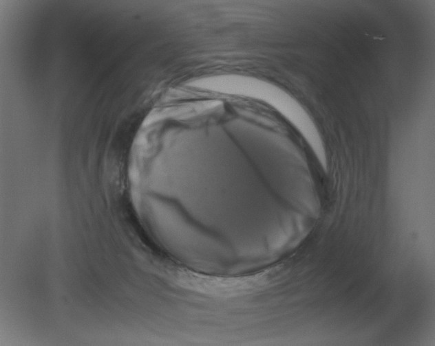 X0000080750031200701122015