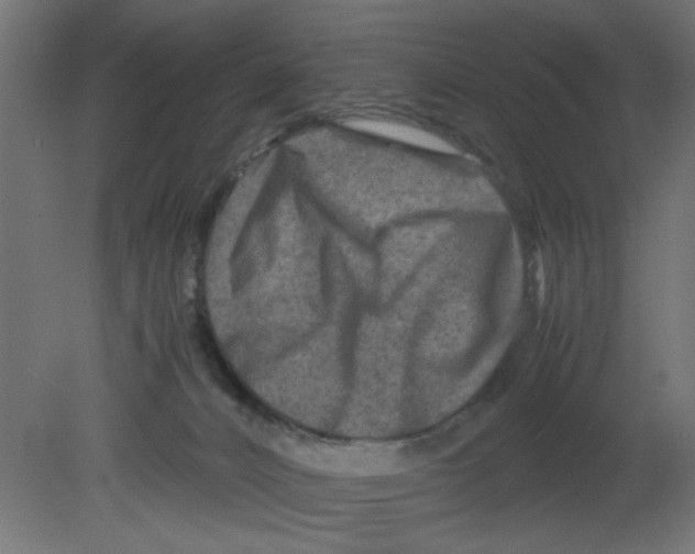 X0000080750032200701122015