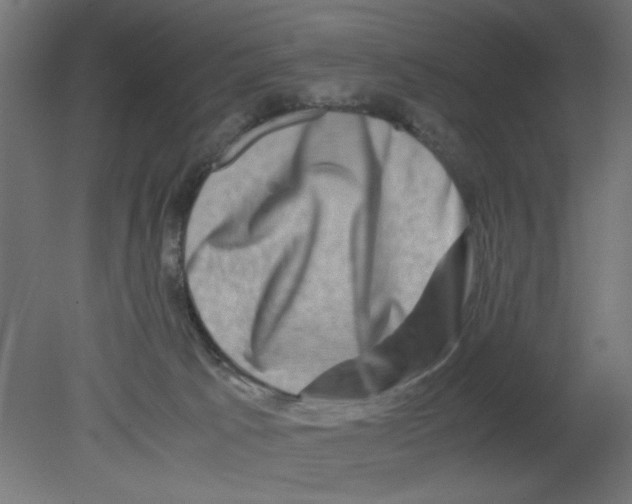 X0000080750033200701122015