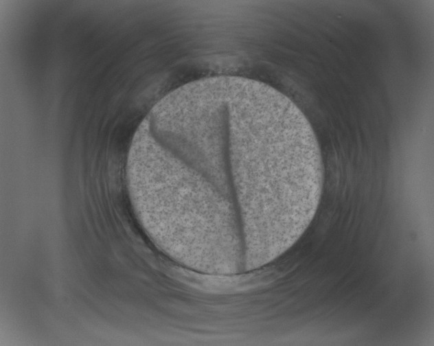 X0000080750034200701122015