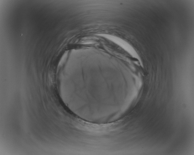 X0000080750035200701122015