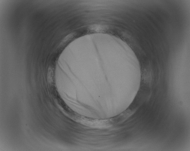 X0000080750036200701122015