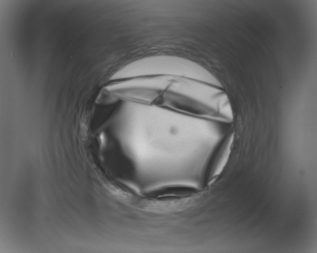 X0000080750037200701122015