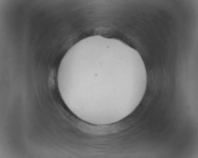 X0000080750038200701122014