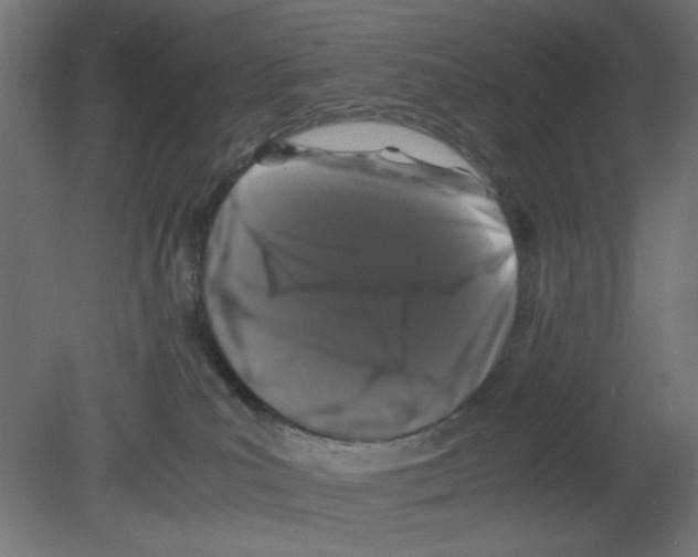 X0000080750039200701122014