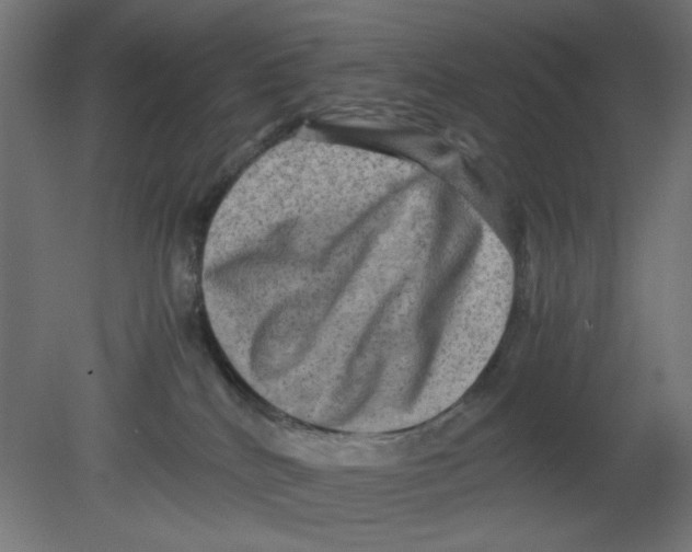 X0000080750040200701122014