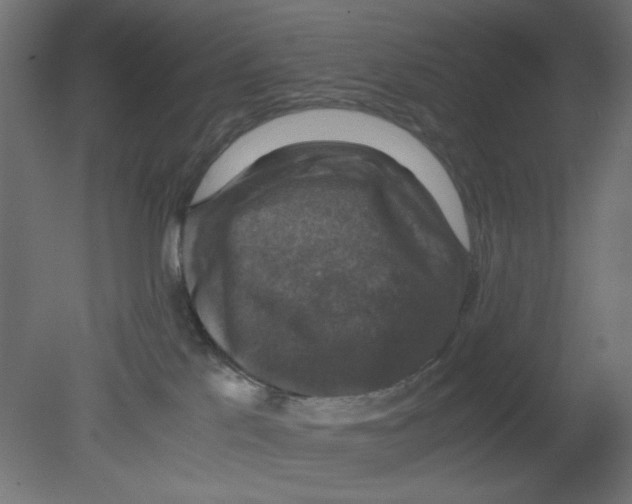 X0000080750041200701122014