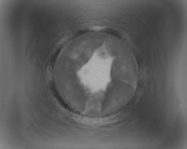 X0000080750043200701122014