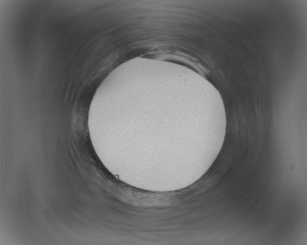 X0000080750044200701122014