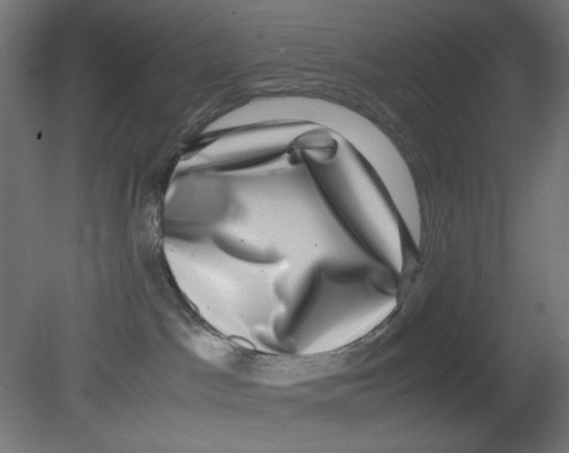 X0000080750045200701122014