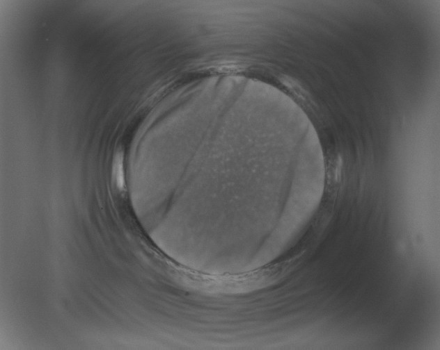 X0000080750046200701122014