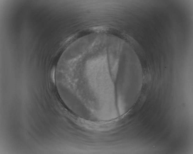 X0000080750047200701122014