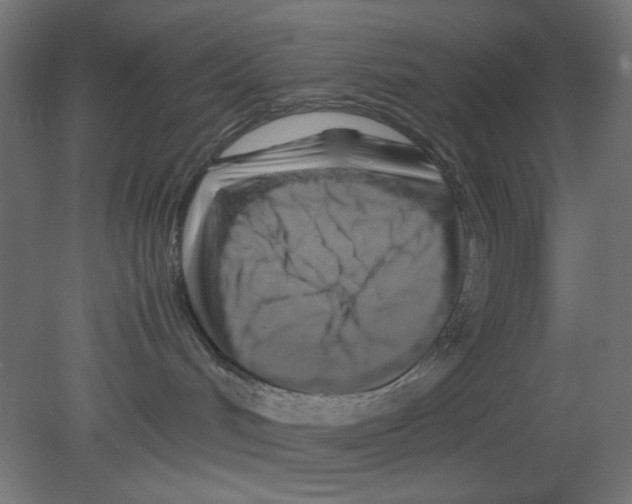 X0000080750048200701122014