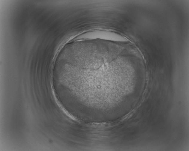 X0000080750049200701122014