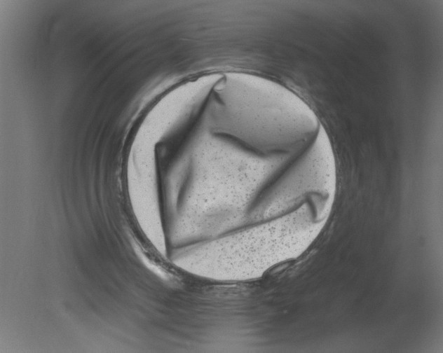 X0000080750050200701122014