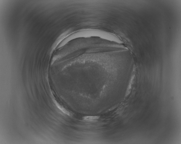 X0000080750051200701122014