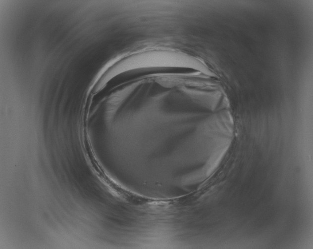 X0000080750052200701122014