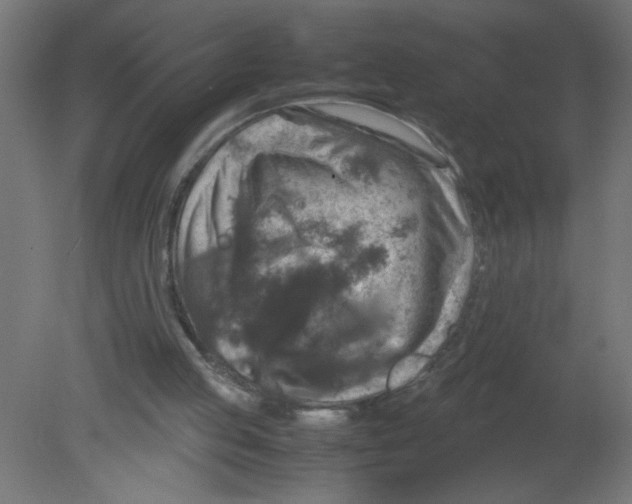 X0000080750053200701122014