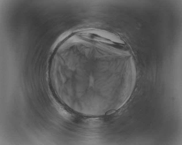 X0000080750054200701122014