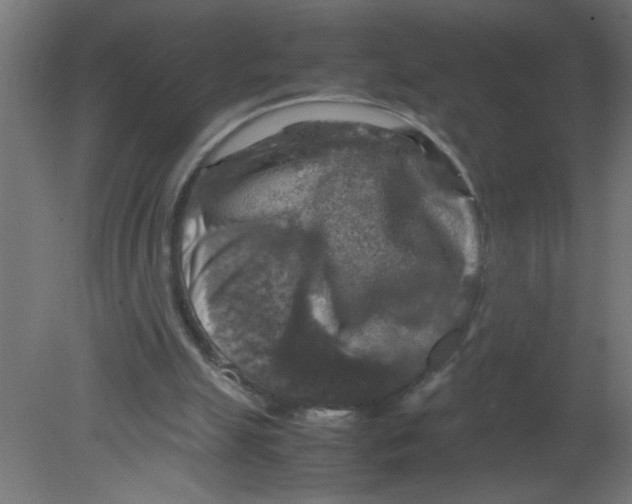 X0000080750055200701122014