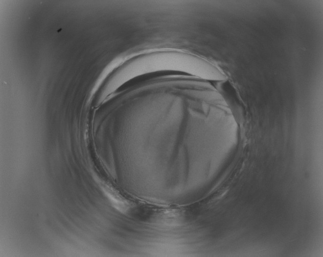 X0000080750056200701122014