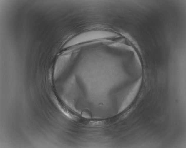 X0000080750057200701122014