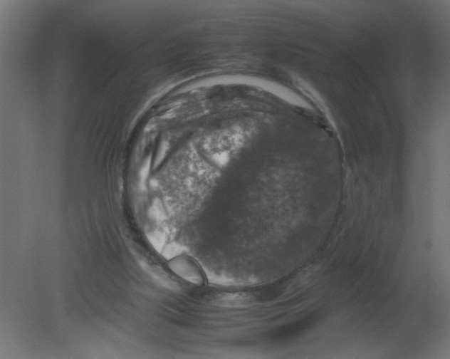 X0000080750059200701122014