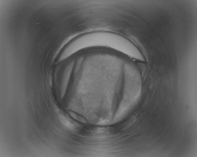 X0000080750060200701122014