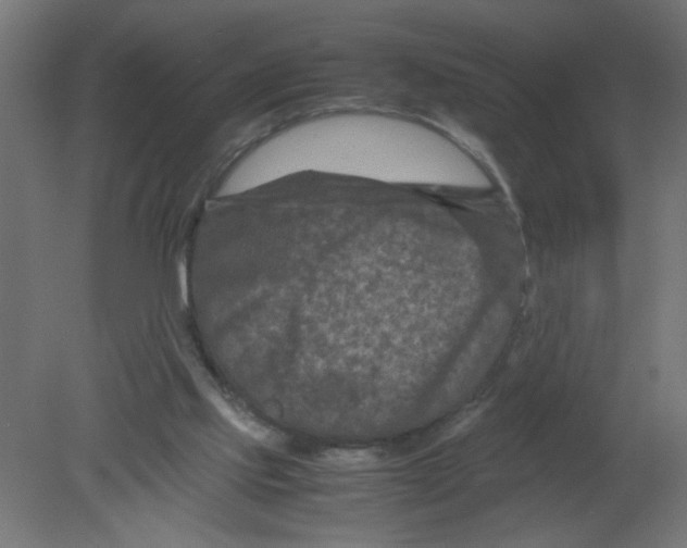 X0000080750061200701122014