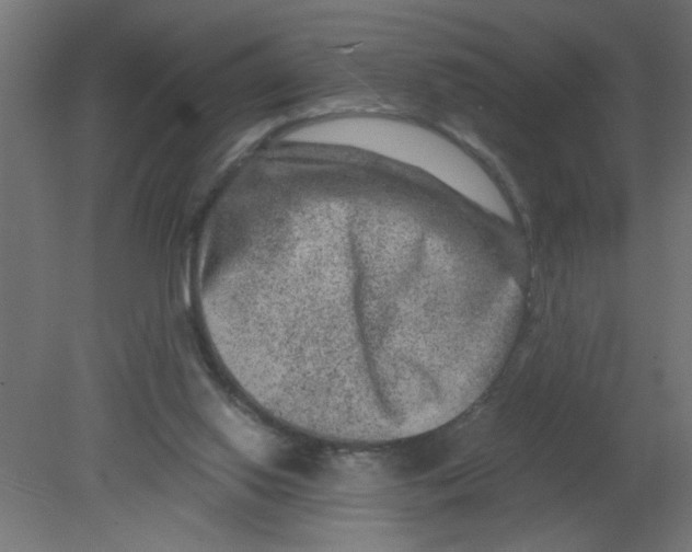 X0000080750062200701122014