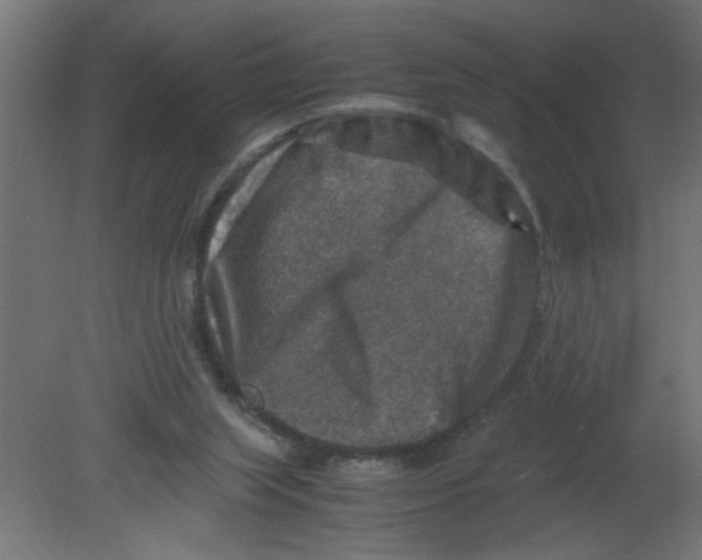 X0000080750063200701122014