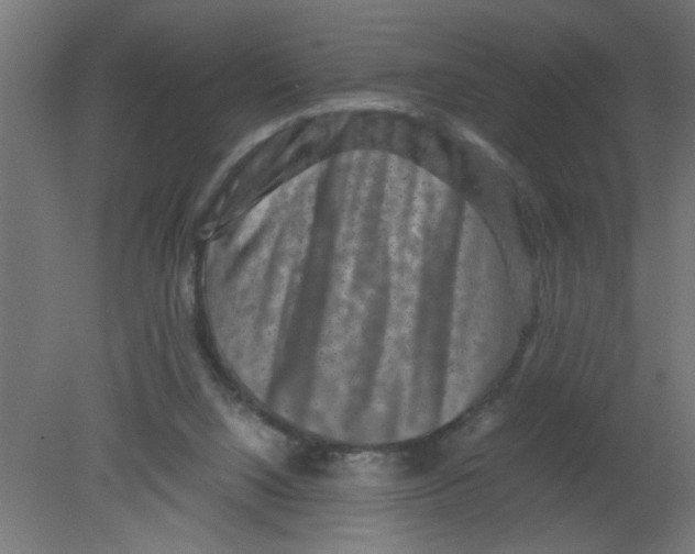 X0000080750064200701122014