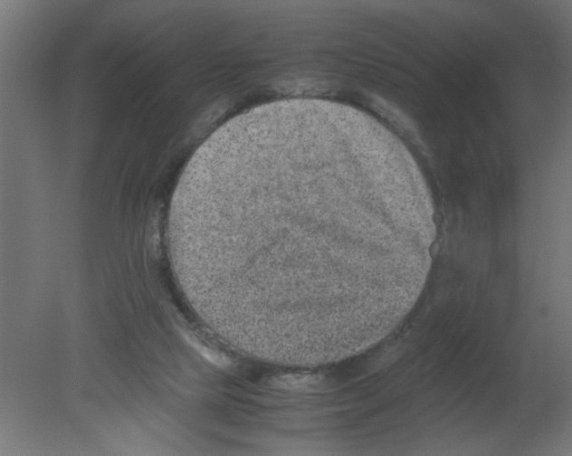 X0000080750065200701122014