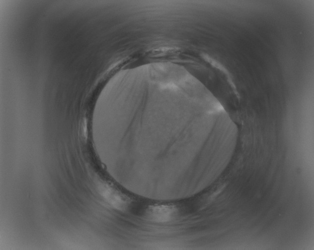 X0000080750067200701122014