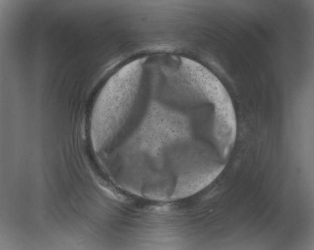 X0000080750068200701122014