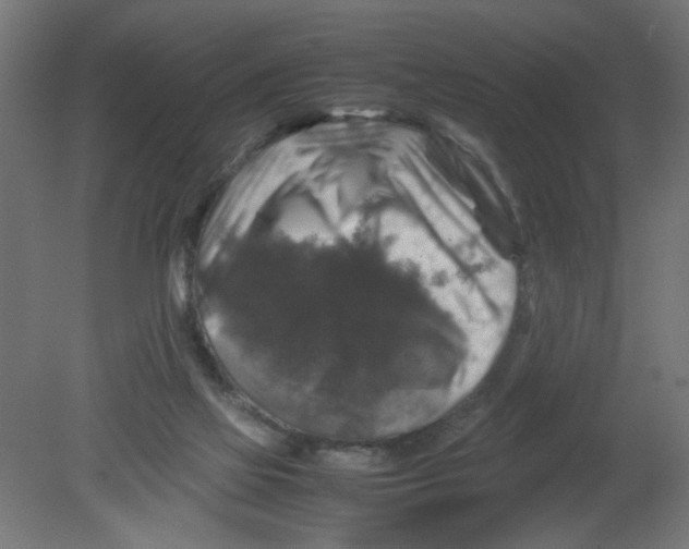 X0000080750069200701122014