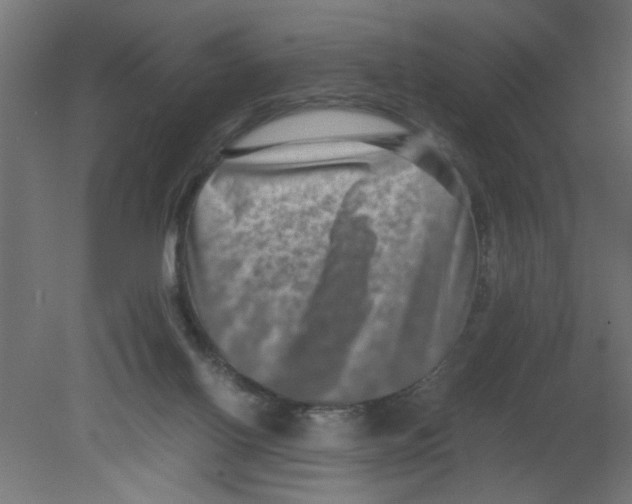 X0000080750070200701122014