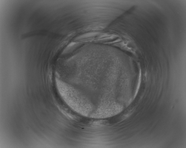 X0000080750072200701122014